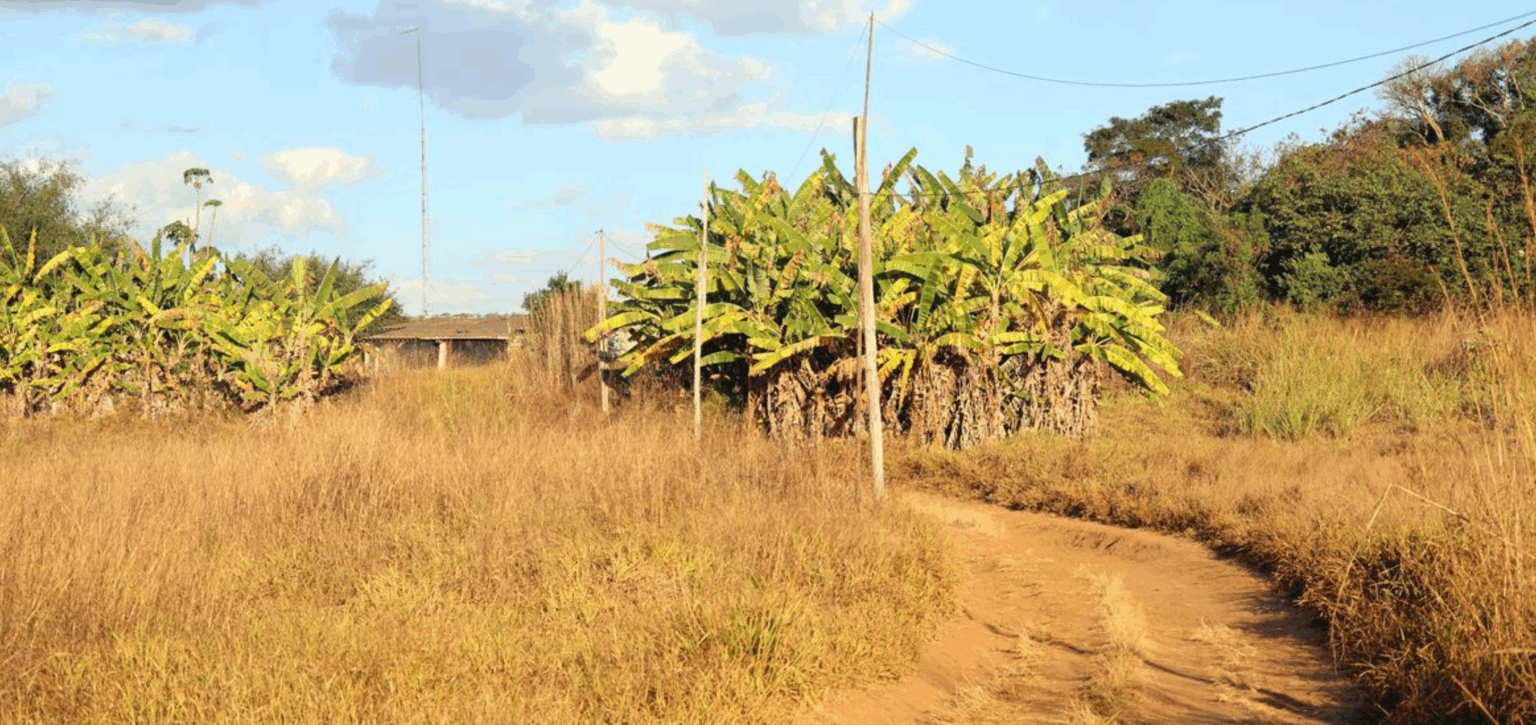 Começa prazo para declarar imposto sobre propriedade territorial rural