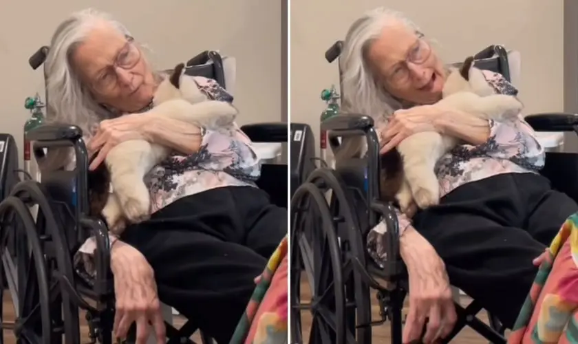 Idosa de 90 anos com demência reconhece Jesus: “Ele é o Filho de Deus”